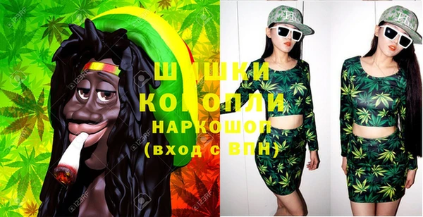 прущие крисы Бородино