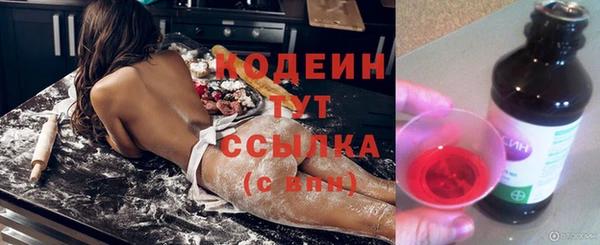 прущие крисы Бородино