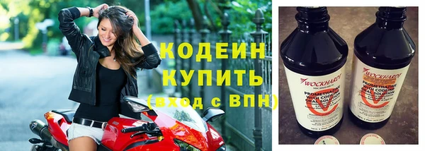 прущие крисы Бородино