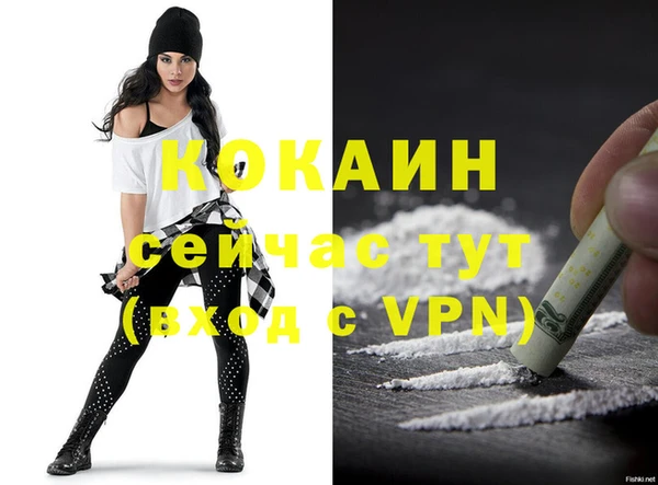 прущие крисы Бородино